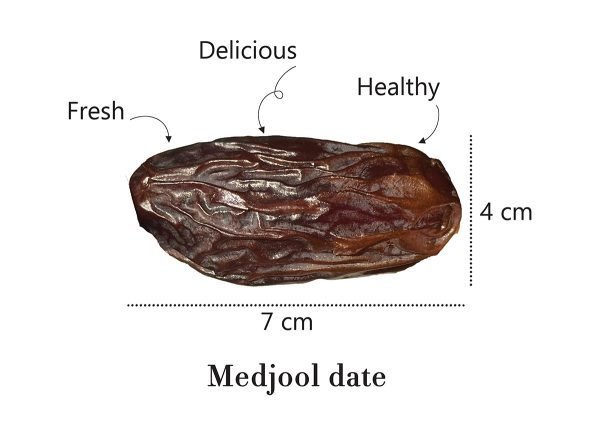 Piarom date - Image 2